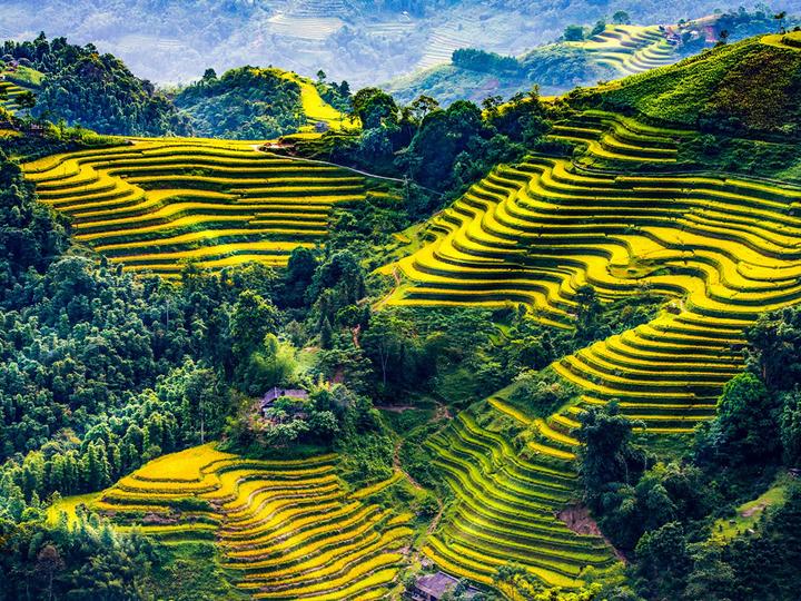 Hotspot Matrix: Cánh cửa vàng cho Freelancer trong kỷ nguyên Video Ngắn