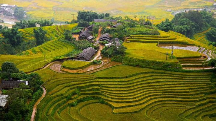 Hotspot Matrix và Nữ diễn viên có style