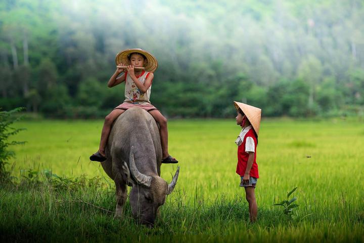 Hotspot Matrix: Biến Phú bà giàu sụ của Vbiz: Xây thành cơ hội marketing đột phá