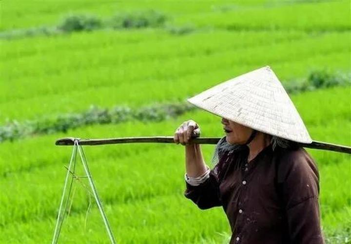 Chuyên gia Hotspot Matrix phân tích: Chụp ảnh xinh như “nàng thơ” và marketing video